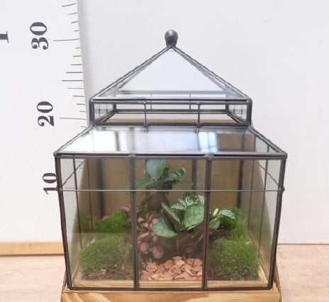 Terrarium serre