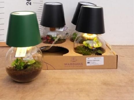 Terrarium cosmolight