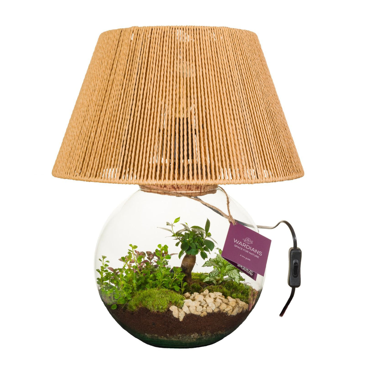 Terrarium lampe
