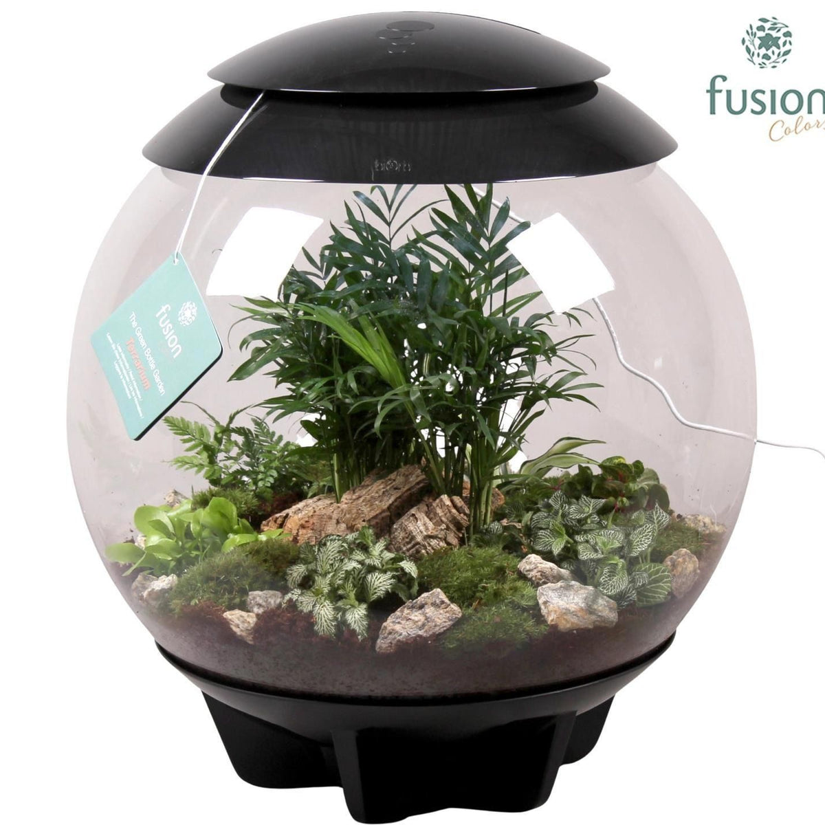Terrarium coupe