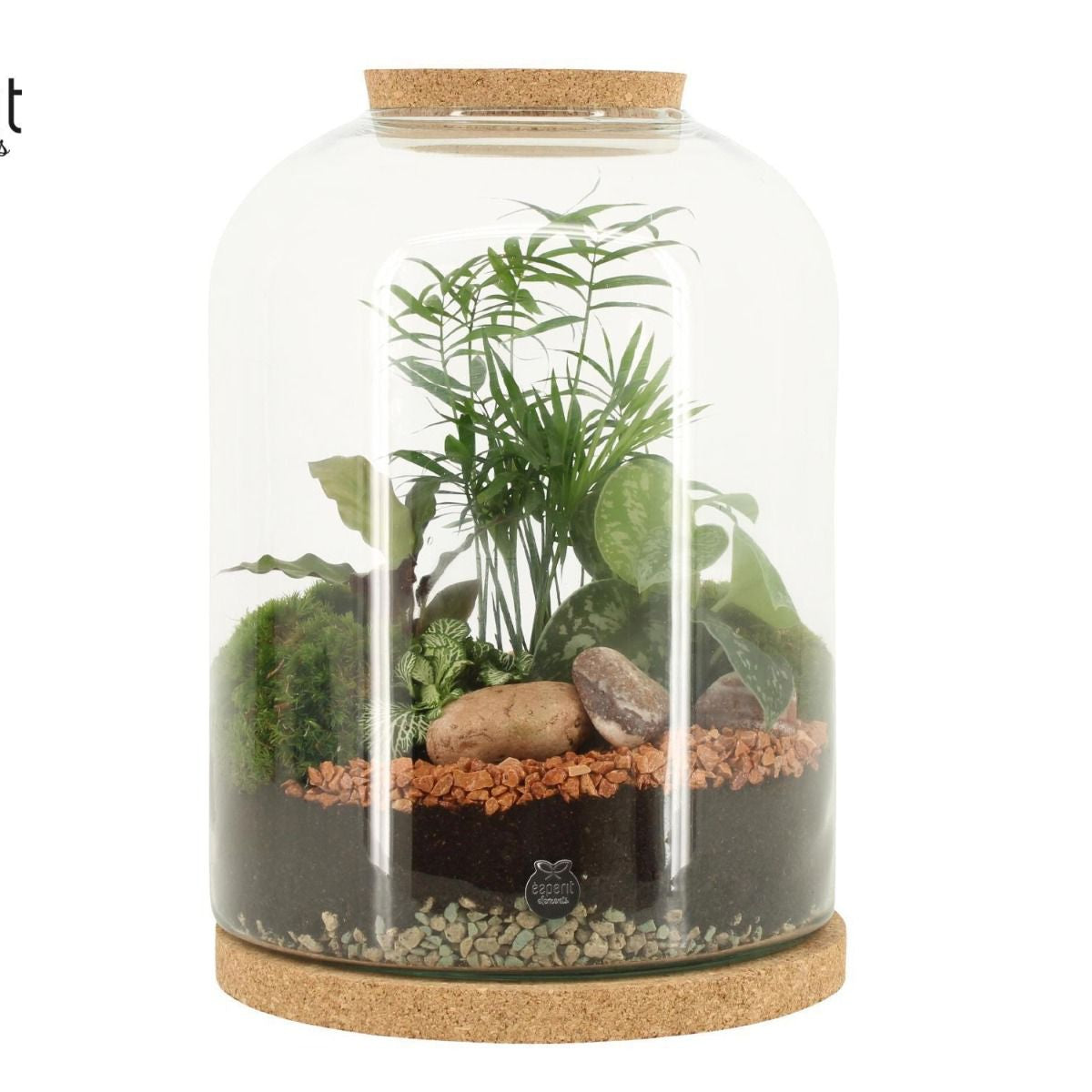 Terrarium