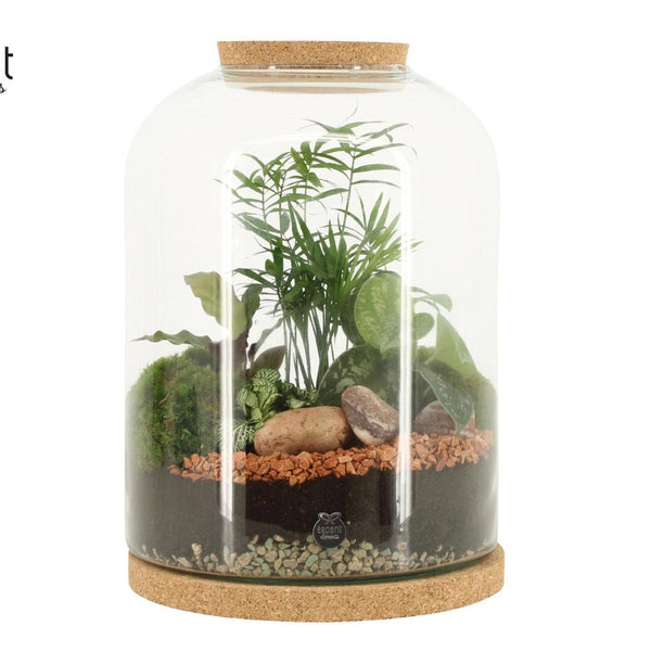 Terrarium