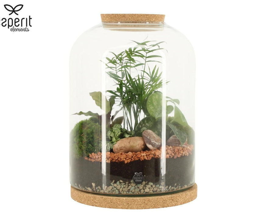Terrarium