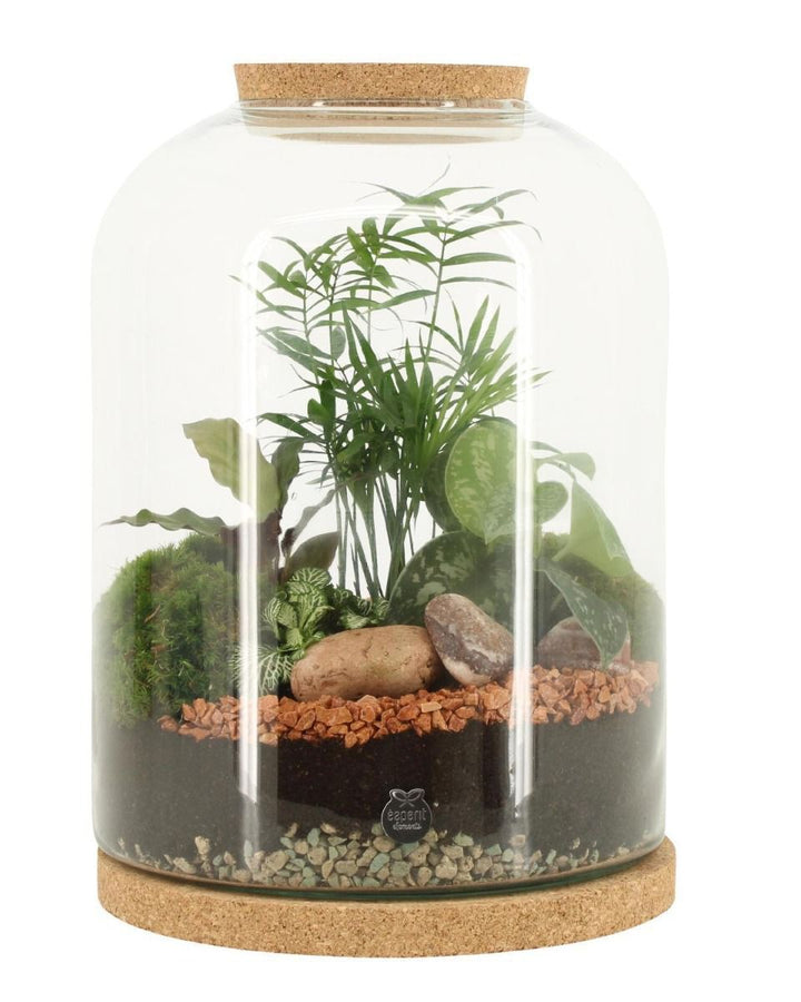 Terrarium
