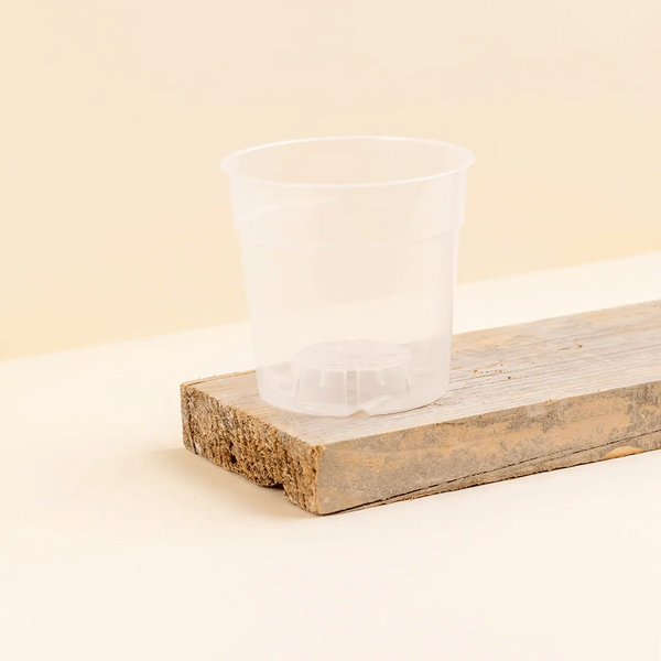 Pot de culture transparent 12cm
