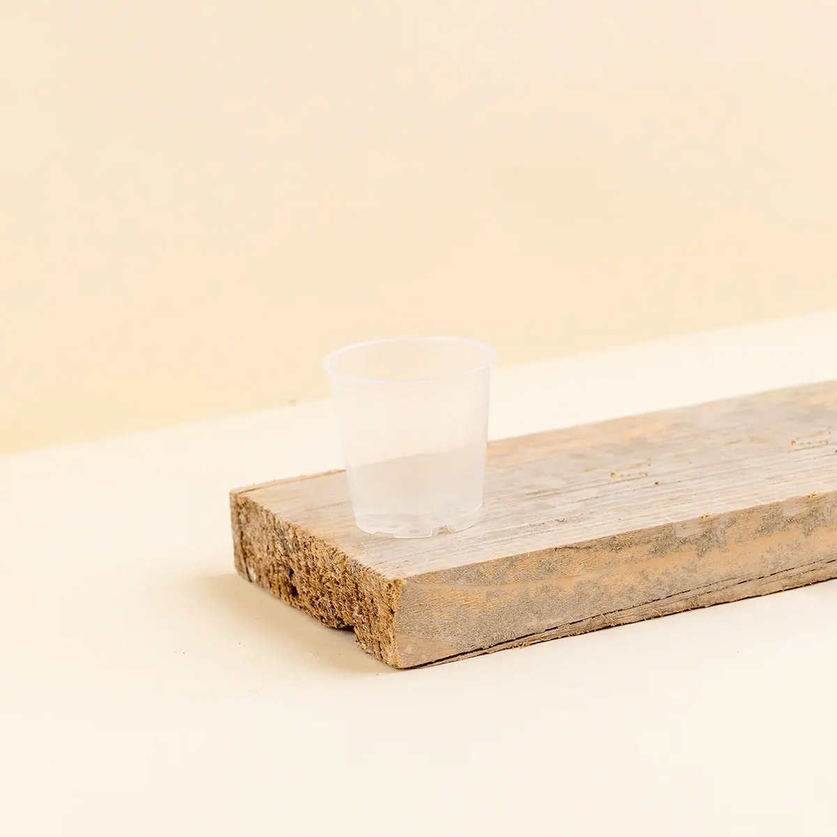 Pot de culture transparent 06cm