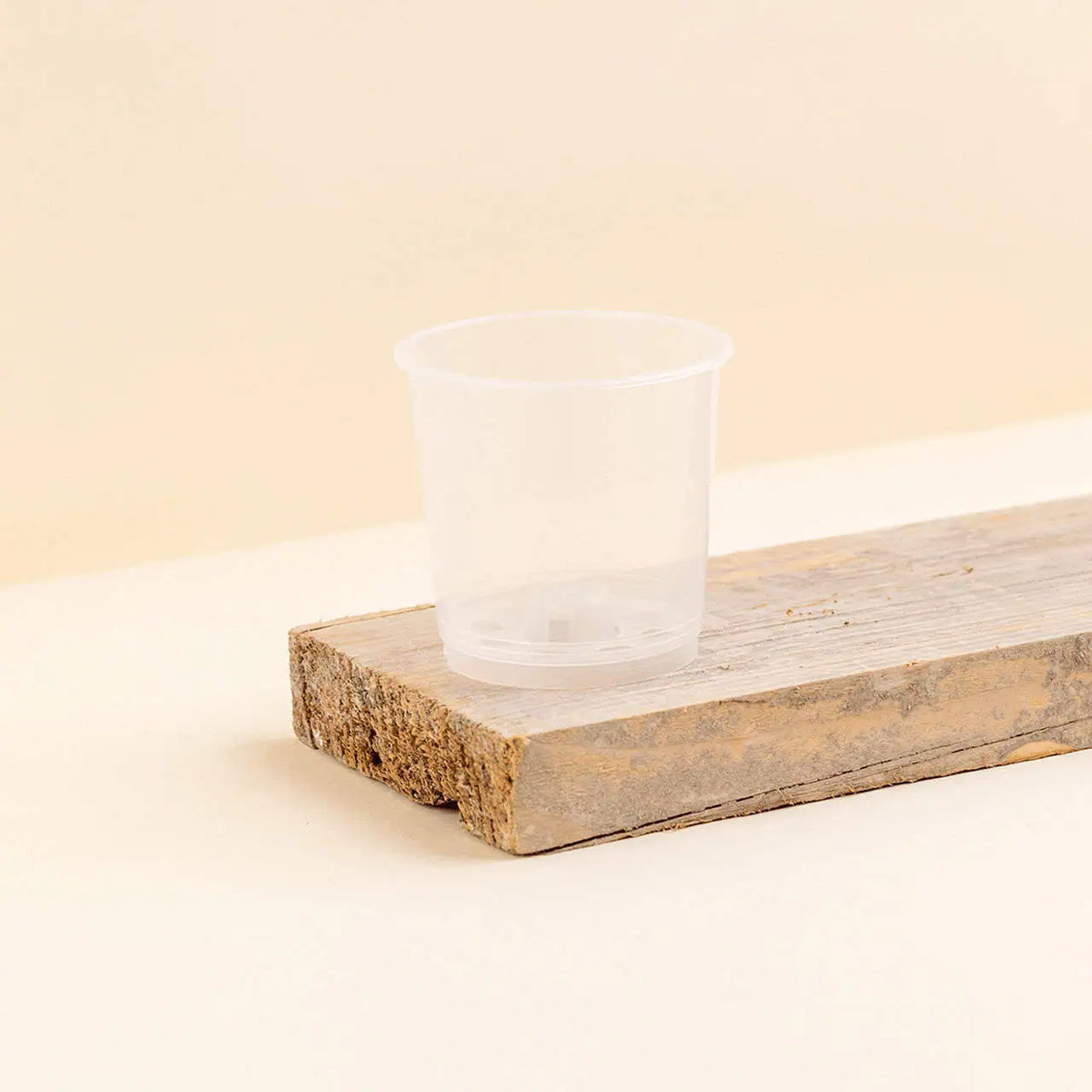 Pot de culture transparent 09 cm